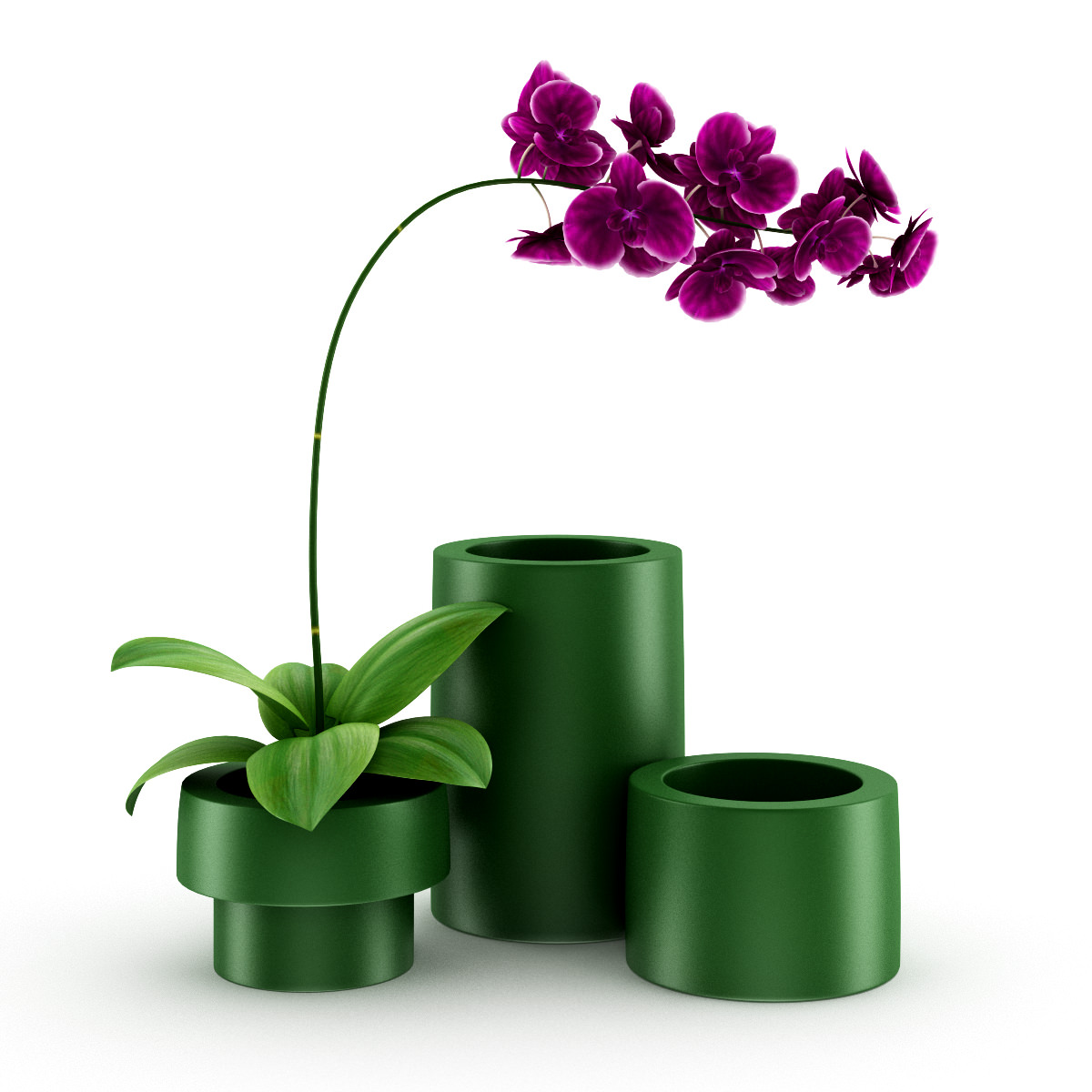 purple orchid book purple orchid book