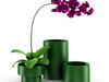 Purple Orchid 3D Model