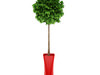Potted Tree 3D Model