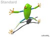Rigged Tree Frog Agalychnis Callidryas 3D Model