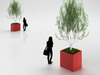 Young Birch-tree in Red Pot 3D Model