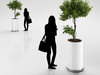 Small Tree in White Pot 3D Model