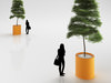 Young Tree in Plastic Pot 3D Model