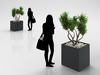 Young Bush in Modern Pot 3D Model