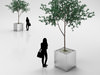 Young Pine Tree in Steel Pot 3D Model