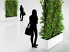Green Wall in Pot 3D Model