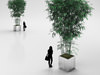 Young Bamboo Bunch in Steel Pot 3D Model
