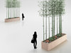 Tall Bamboo Hedge in Wooden Pot 3D Model