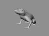 Frog 3D Model .obj