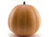 Pumpkin 3D Model