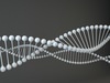 Cool DNA 3D Model