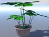 plant in a pot 3D Model