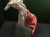 Sexy Female Torso with Squid Monster 3D Model