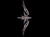 Fantasy Bow 3D Model