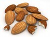 Almonds unshelled 3D Model .max .obj .3ds