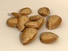 Almonds in shell 3D Model