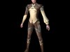 3D Ceko 3D Model