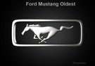 Mustang Oldest 3d Logo 3D Model