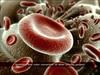Red Blood Cells 3D Model