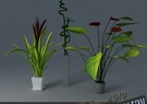 Houseplant collection 4 3D Model