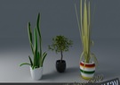 Houseplant collection 2 3D Model