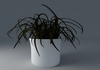 Houseplant Collection 5 3D Model .max .3ds