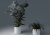 Houseplant Collection 5 3D Model .max .3ds