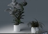 Houseplant Collection 5 3D Model .max .3ds