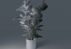 Houseplant Collection 5 3D Model .max .3ds