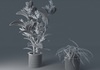 Houseplant Collection 5 3D Model .max .3ds