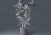 Houseplant Collection 5 3D Model .max .3ds