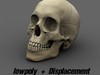 Skull Head 3D Model