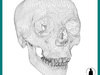 HUMAN SKULL 3D Model .max
