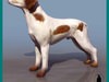 BRACO DOG HUNTER