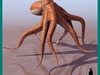 OCTOPUS VULGARIS 3D Model
