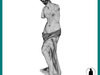 VENUS DE MILO STATUE SC... 3D Model .max