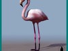 FLAMINGO BIRD 3D Model