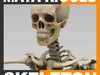 Human Skeleton Maya Rigged 3D Model .ma .mb
