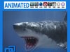 Animated White Shark 3D Model
