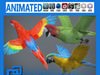 Animated Parrots Pack 3D Model