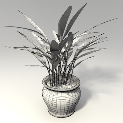 Potted Plant 3D Model .obj .fbx .blend