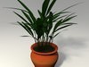 Potted Plant 3D Model .obj .fbx .blend