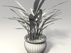 Potted Plant 3D Model .obj .fbx .blend
