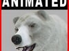 Animated Polar Bear 3D Model .max .obj .3ds .fbx .lwo .lw .lws .c4d
