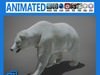 Animated Polar Bear 3D Model .max .obj .3ds .fbx .lwo .lw .lws .c4d
