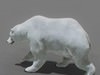 Animated Polar Bear 3D Model .max .obj .3ds .fbx .lwo .lw .lws .c4d