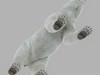 Animated Polar Bear 3D Model .max .obj .3ds .fbx .lwo .lw .lws .c4d