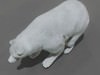 Animated Polar Bear 3D Model .max .obj .3ds .fbx .lwo .lw .lws .c4d