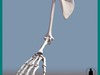 HUMAN UPPER EXTREMITY BONES 3D Model
