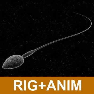 Sperm 3D Model Sperm 3D Model .max